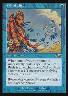 Veil of Birds